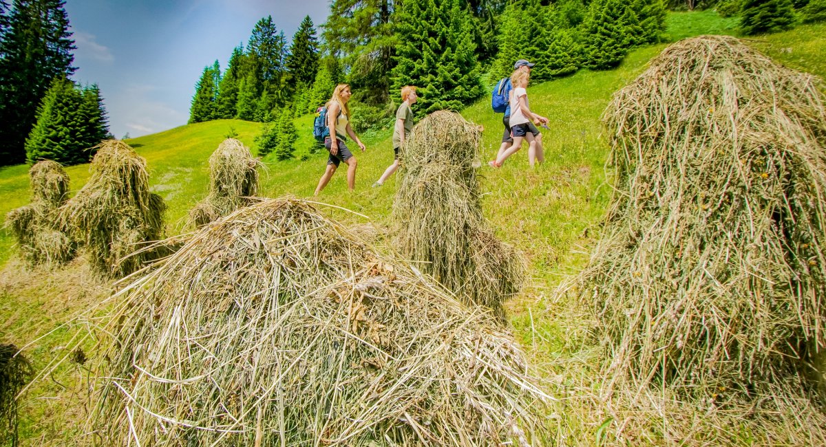 large-vitalweg-holzgau-80.jpg